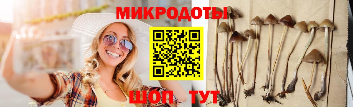 Саров  Галлюциногенные грибы Cubensis  Вход с VPN  даркнет сайт  Галлюциногенные грибы MAGIC MUSHROOMS 