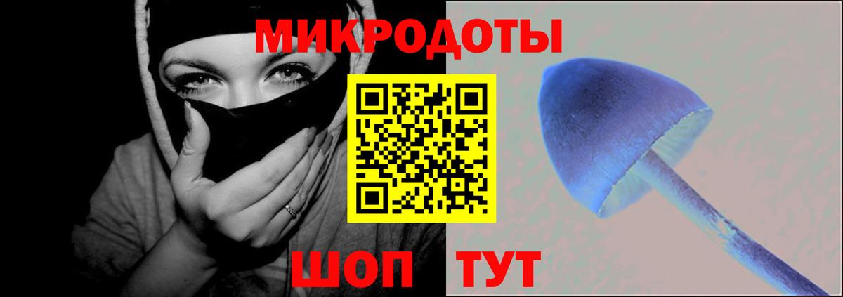 Галлюциногенные грибы Cubensis Саров
